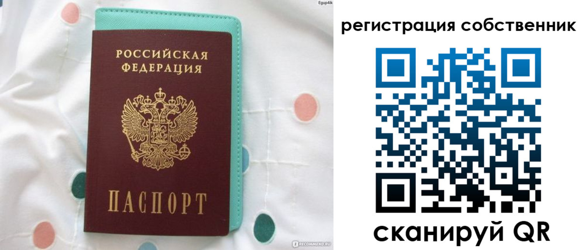 прописка для школы в Рубцовске